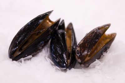 Jumbo mosselen 1kg