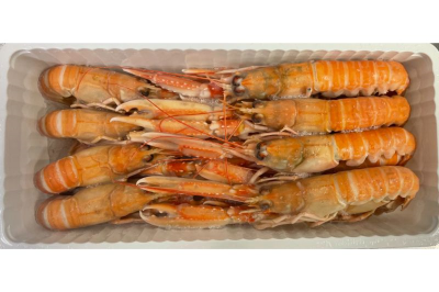 Langoustines 17/20 dv rauw