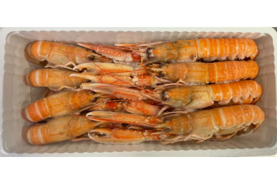 Langoustines 4/8