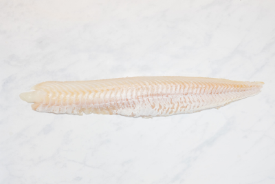 Lenghaas